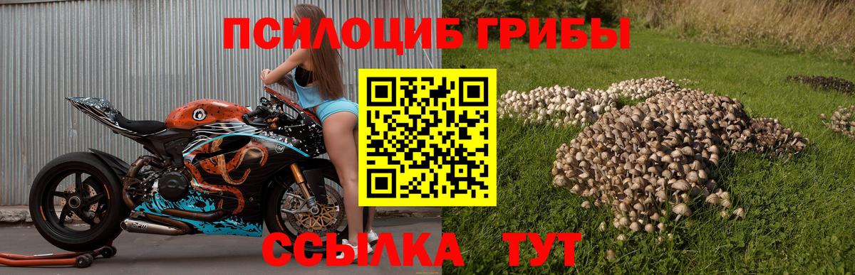 Псилоцибиновые грибы GOLDEN TEACHER  Галлюциногенные грибы мухоморы  Вход с VPN  Петрозаводск 
